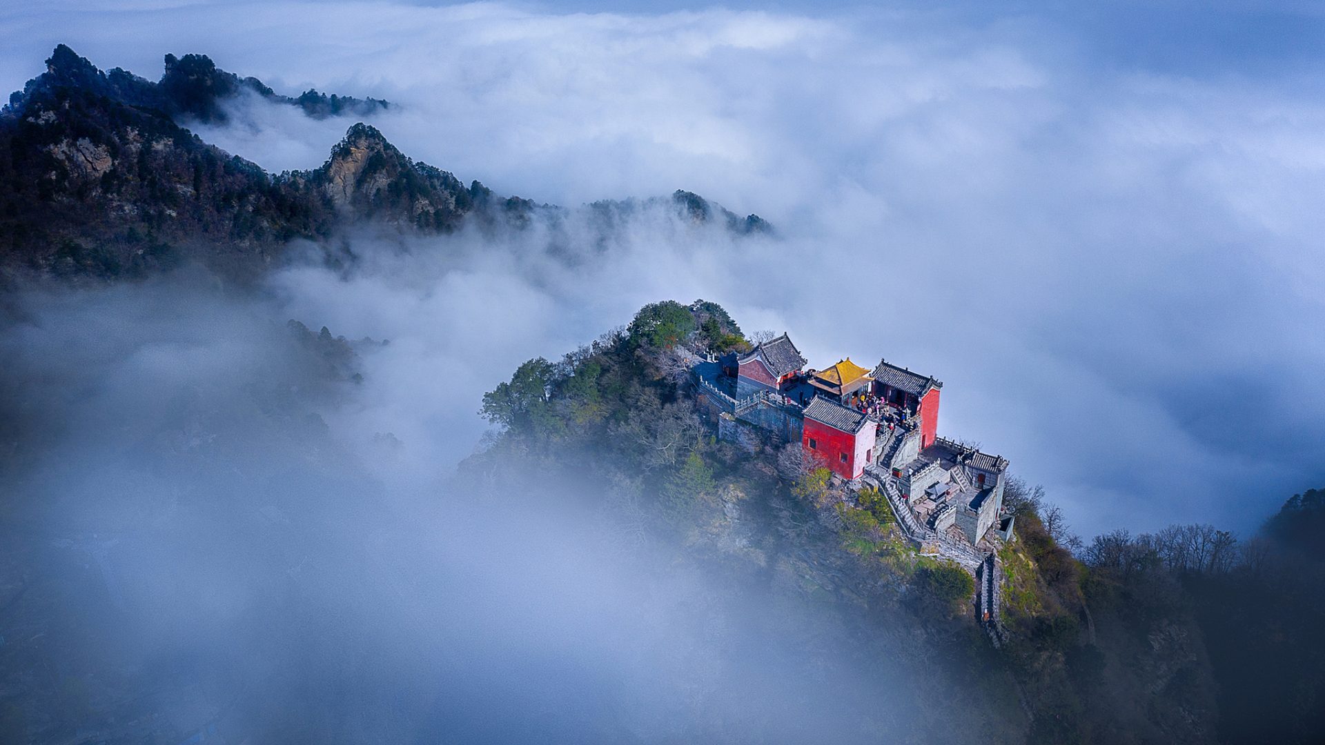 道武养项目全景：山林中的园区建筑与层层石阶